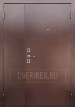 Двустворчатая дверь (тамбурная)